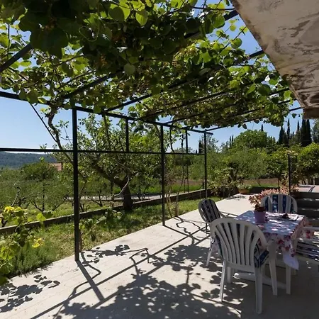 Laurel Leaf - Three Bedroom With Terrace Apartment Lovorno